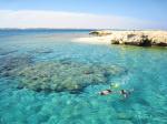 Ras Mohammed & White Island Snorkelling