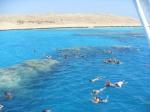 Tiran Island Snorkelling